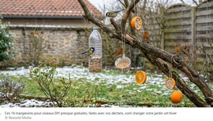 MANGEOIRES_DIY.jpg