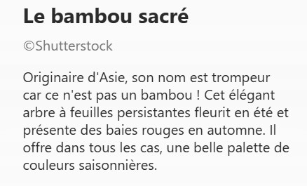 BAMBOU_SACRE2.jpg