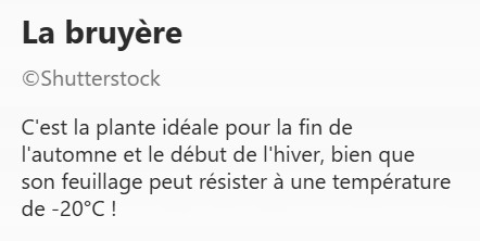 BRUYERE2.jpg