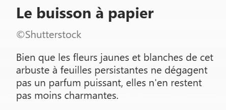 BUISSON_a_PAPIER2.jpg