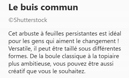 BUIS_COMMUN2.jpg