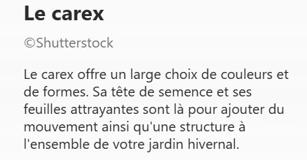 CAREX2.jpg