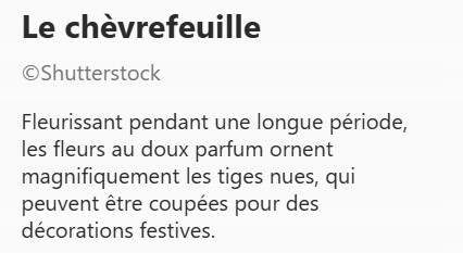 CHEVREFEUILLE2.jpg