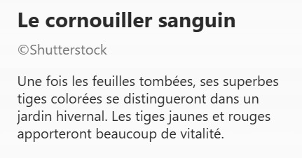 CORNOUILLER_SANGUIN2.jpg