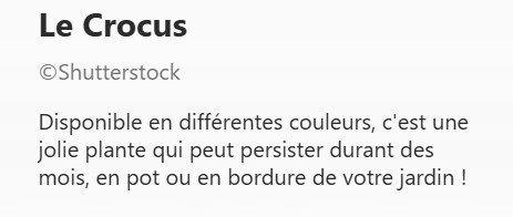 CROCUS2.jpg