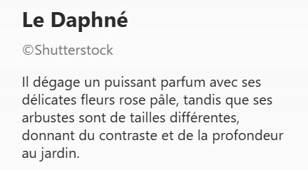DAPHNE2.jpg
