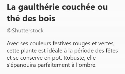 GAULTHERIE2.jpg