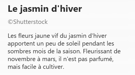 JASMIN_HIVER2.jpg