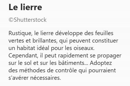 LIERRE2.jpg