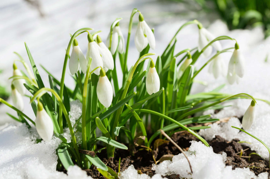 PER_CE-NEIGE.jpg