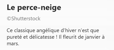 PER_CE-NEIGE2.jpg
