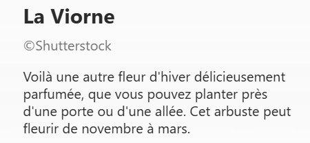 VIORNE2.jpg