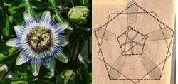 GEOMETRIE.jpg