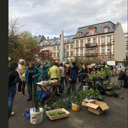 bourse_plantes_22_10_23.jpg