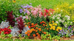 JARDIN_COLORE.jpg