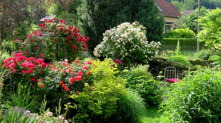 JARDIN1.jpg