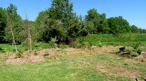 JARDIN10.jpg