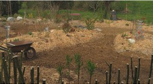 JARDIN12.jpg