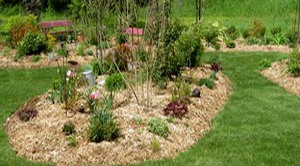 JARDIN13.jpg