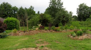 JARDIN15.jpg
