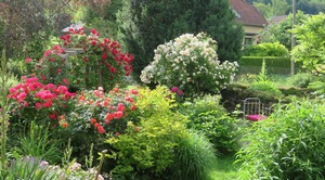 JARDIN19.jpg