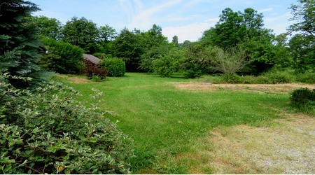 JARDIN4.jpg