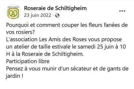 roseraie_schil_taille_fleurs_fanees_2.jpg