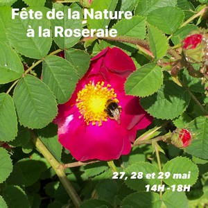 roseraie_schiltigheim_fete_nature.jpg