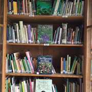 bibliotheque_02.jpg