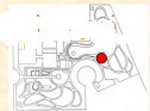 berberis_2.jpg