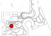 PLATYCODON_GRANDIFLORUS_04.jpg