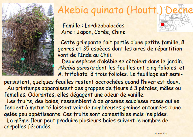 fleur_au_fruit_avril_2013.jpg