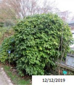 fleur_au_fruit_nov_2020_4.jpg
