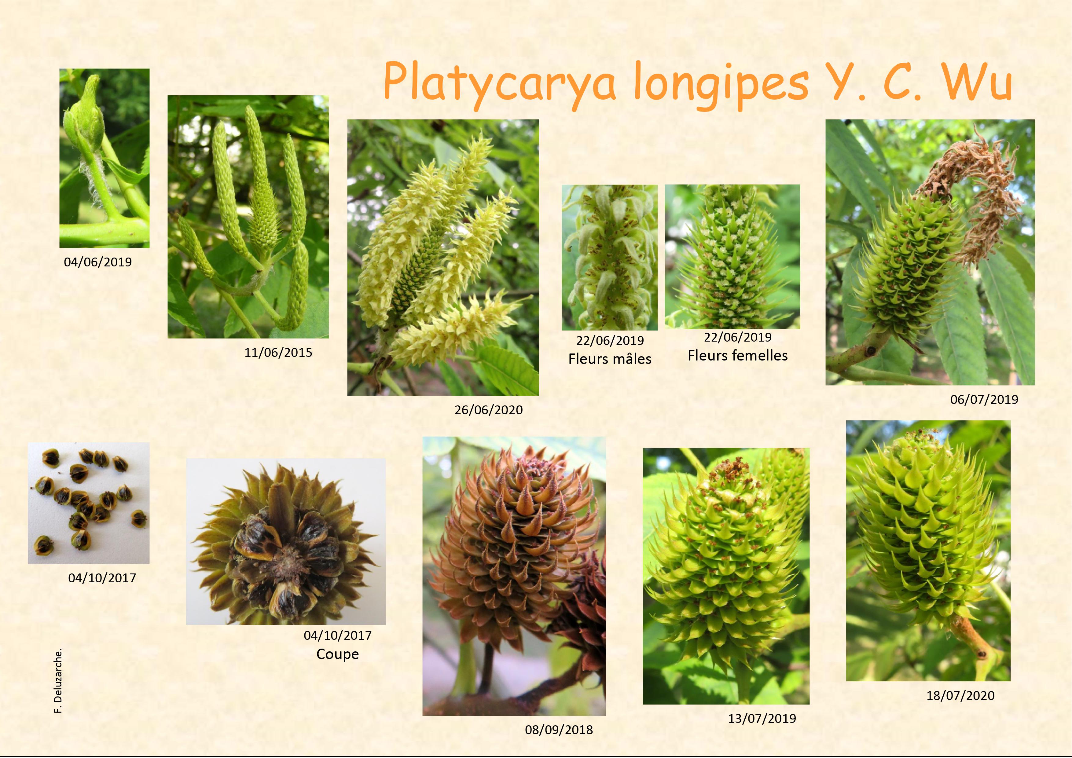 fleur_au_fruit_nov_2021_1.jpg