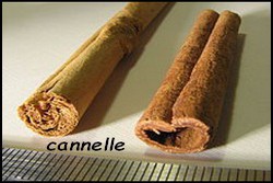 cannelle.jpg