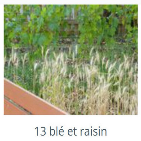 jardin_interreligieux_meinau_10.jpg